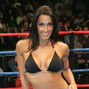 ���� ����, �����, 41 ��� - ��������� 4 ����� 2014 � ������ ���� ����������