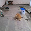 ���� Aleks, ����� ������� - ��������� 11 ������ 2013 � ������ ��������� �������.�