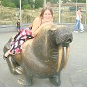 ���� ����������, �����-���������, 41 ��� - ��������� 5 ������� 2013 � ������ ���