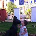 ����� ����������