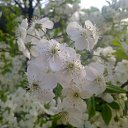 ���� �������, ����� - ��������� 20 ������� 2014 � ������ ��� ��� ������ ���