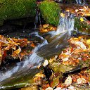 ���� ������ 72, ������������, 53 ���� - ��������� 30 ������� 2013 � ������ ������� �������