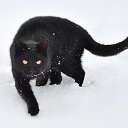 ���� �����, ��������� - ��������� 4 ������� 2013 � ������ ���� ����������