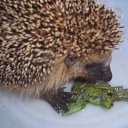 ���� ���������, ������� ��������, 58 ��� - ��������� 30 ������� 2013