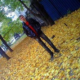 ������, ����