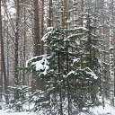  ,  -  6  2014    2014