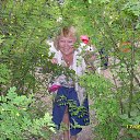 ���� ������� ��������, ������������ - ��������� 16 �������� 2013 � ������ ���� ����������