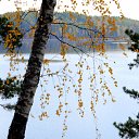 ���� Svann, ���������, 71 ��� - ��������� 6 ������� 2013 � ������ ������. ��. �������.�