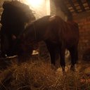 ���� ����������, ������, 35 ��� - ��������� 2 ������� 2013 � ������ ���� ����������