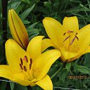 ���� �������, �����������, 53 ���� - ��������� 12 ������ 2013 � ������ ���� ����������