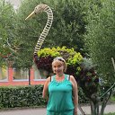 ���� ������, �������, 54 ���� - ��������� 17 ������� 2013 � ������ ������ ��������