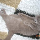 ������� � ����