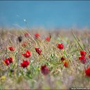 ���� Svetlana, ������ - ��������� 3 �������� 2013