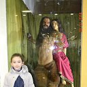 ���� ��������, ����, 21 ��� - ��������� 8 ������� 2014 � ������ �߻