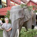 � ������ �� ������� ���� ����������