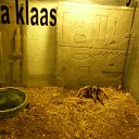 ���� ����� ����������, ������, 49 ��� - ��������� 7 �������� 2013 � ������ ���� ����������