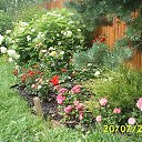 ���� ��������, �����, 65 ��� - ��������� 30 ������ 2014 � ������ ������ ��������