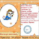 ��� ������� ������� �� ������� ��������