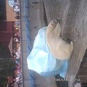 ���� ������, �����������, 35 ��� - ��������� 28 ������� 2014 � ������ ���� ����������