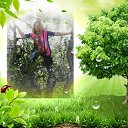 ���� ����, �������, 39 ��� - ��������� 19 ������� 2013