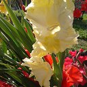 ���� &Tina&&, ����� - ��������� 4 ������� 2013