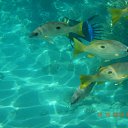 ���� ���������, ����������, 42 ���� - ��������� 28 ������� 2013 � ������ ������ 2013�