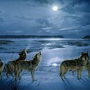 ���� �������� ����, ������, 46 ��� - ��������� 10 ������� 2014 � ������ ������ ��������