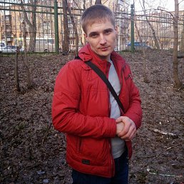 ���� ������, ���������, 41 ���