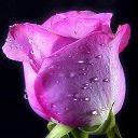 ���� Asssssssssollllllll, ����������� - ��������� 25 ������ 2014 � ������ ���� ����������