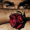 ���� ����, �������, 41 ��� - ��������� 21 �������� 2013 � ������ ���� ����������