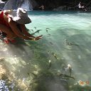 ���� �������, ��������� - ��������� 24 ������� 2013 � ������ ��������, �������, 2013�.�