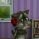 ���� ���., ������������, 52 ���� - ��������� 2 ������� 2014