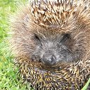 ���� ��������, �����-��������� - ��������� 7 ������� 2013