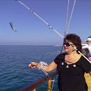 ���� �������, ���������, 66 ��� - ��������� 28 �������� 2013 � ������ ���� ����������