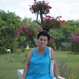 ���� �����, �������, 73 ���� - ��������� 6 ������ 2013