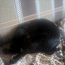 ���� ������, ������� ��������, 59 ��� - ��������� 9 ������� 2014 � ������ ���� ����������