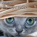 ���� ������, ������ - ��������� 31 ������ 2014 � ������ ���� ����������