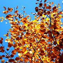 ���� �����, �����, 64 ���� - ��������� 30 ������ 2013 � ������ ��Ψ�