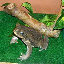 ���� ��������, ������, 30 ��� - ��������� 26 ������ 2014 � ������ ���� ����������