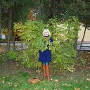 ����� 2013 �� ������� ���� ����������