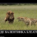 ���� ����, ������, 48 ��� - ��������� 14 ������� 2014 � ������ �������