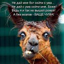 ���� �������, ����������� - ��������� 8 ������� 2013 � ������ ��������� ��������