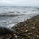 ���� �������, ����������� - ��������� 15 ������ 2013 � ������ ���� �������ɻ