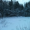 ���� ���������, ������� �����, 43 ���� - ��������� 23 ������ 2014 � ������ �������