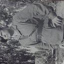 ���� ���������, �����������, 71 ��� - ��������� 3 ������ 2014 � ������ ���� ����������