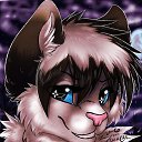 ���� �����, ����������, 25 ��� - ��������� 20 ������� 2013 � ������ ���� ����������