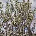 ���� ���, ����� - ��������� 11 ������� 2013 � ������ ���� ����������