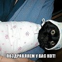 ���� ���, ���������, 23 ���� - ��������� 18 ������� 2013 � ������ ���� ����������