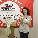 ���� �����, �������� - ��������� 30 ������ 2013 � ������ ���� ����������