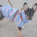 ���� Irina, ��������� - ��������� 10 ������ 2014 � ������ ������ʻ